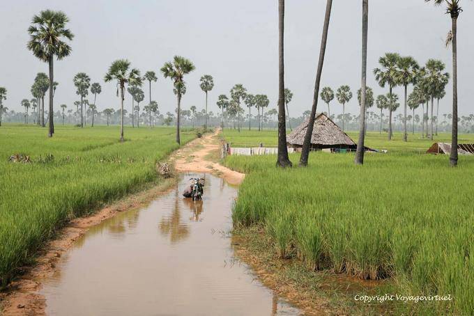 Réparation sur le chemin inondé, campagne vers Skun - Cambodge