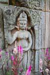 Fleur et sculpture dans le grés, Wat Nokor, Kampong Cham, Cambodge.