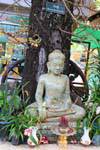 Bouddha au pied d'un Shorea robusta roxb ou sal, Wat Preah Keo, Phnom Penh, Cambodge.