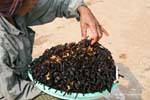 Manger des araignées, c'est bon pour la santé, Skun (Skuon), Cambodge.