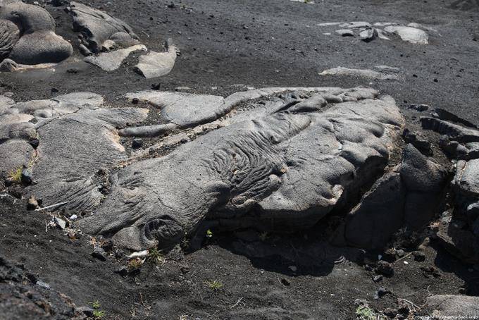 Fogo, Cha de Caldeiras, coulée de lave - Cap Vert