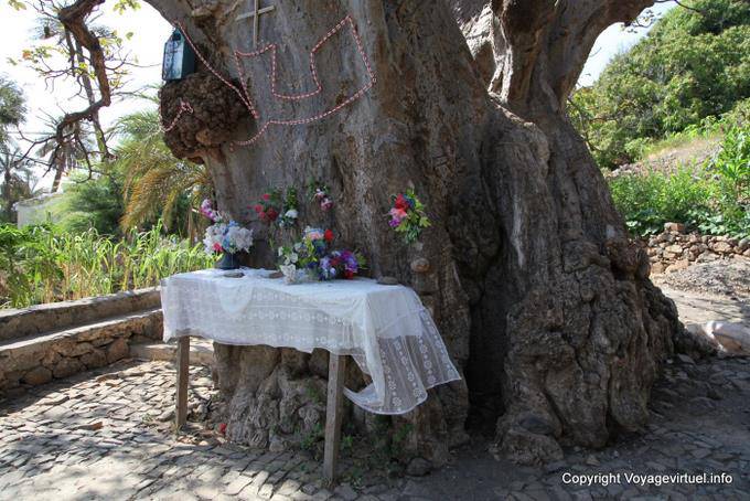 Santiago, Cidade Velha autel devant arbre - Cap Vert