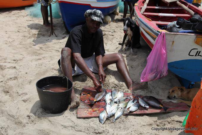 Santiago, Tarrafal, écaillage du poisson - Cap Vert