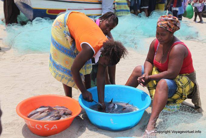 Santiago, Tarrafal, préparation du poisson - Cap Vert
