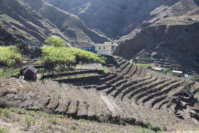 Santo Antão, boca de Coruja Ambas, cultures en terrasses - Cap Vert