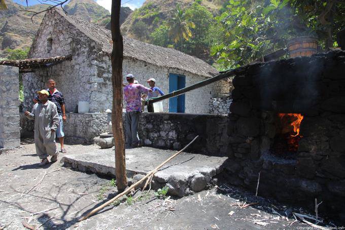 Groguerie locale, Santo Antão, Lombo de Pico Xoxo - Cap Vert