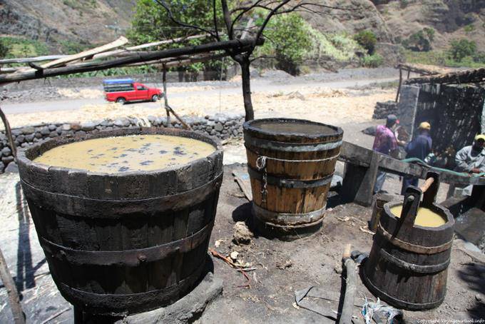 Etapes dans la préparation du grogue, Santo Antão, Lombo de Pico Xoxo - Cap Vert