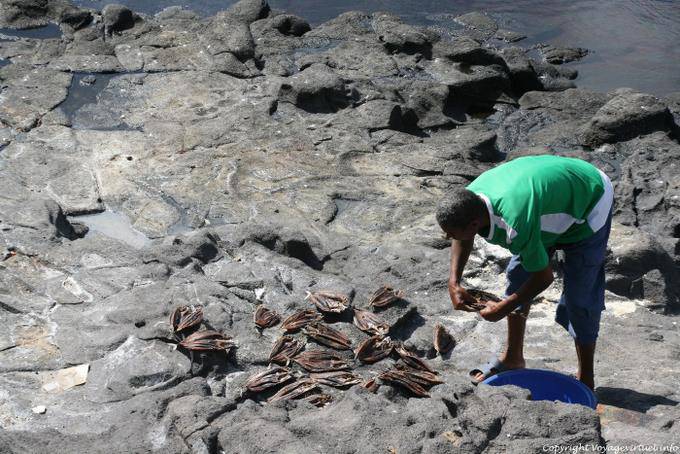 Santo Antão, Ponto do Sol, poisson séché - Cap Vert