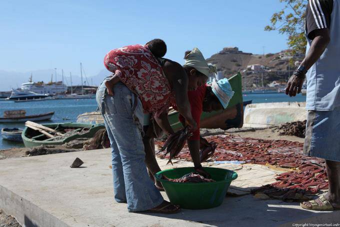 São Vicente, port de pêche de Mindelo, trio aux poissons - Cap Vert