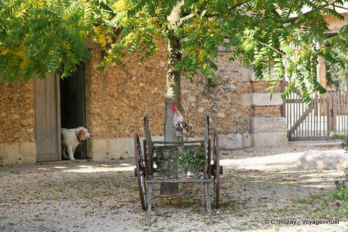 Chien, coq et charette au Hameau de la Reine, Versailles
