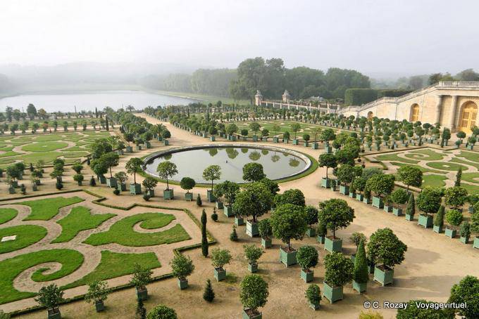 Jardin de l'Orangerie, orangers en caisson, Versailles
