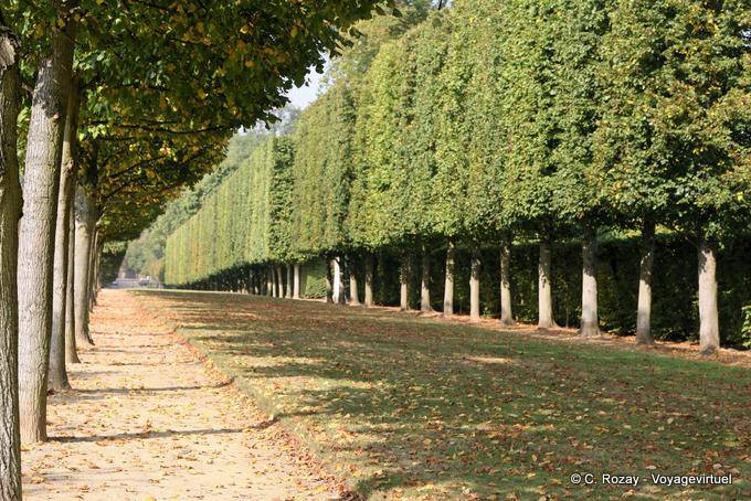 L'allée de Bacchus et de Saturne, Versailles