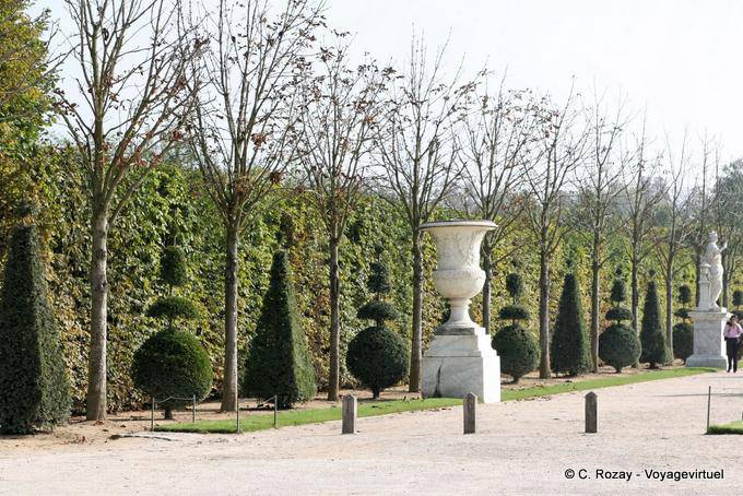 Parc, allée composée avec des topiaires, Versailles