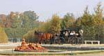 Calèche et Bassin de Cérès, conçu par Thomas Regnaudin, Versailles