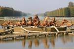 Le bassin d’Apollon vu de face, Versailles