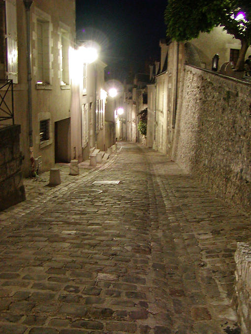 Rue pavée du vieux Blois, France.