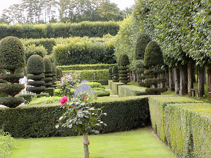 Entre jardin des simples et labyrinthe, Château de Villandry, France.