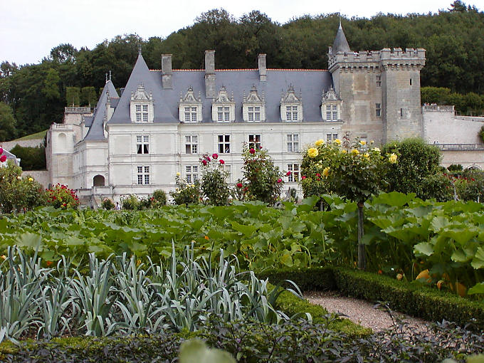 Harmonisation des couleurs, potager du Château de Villandry, France.