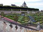 Potager monacal, Villandry, France.