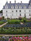 Choux et tomates entre les rosiers, Villandry, France.