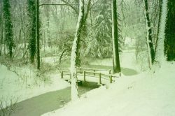 pont de bois enneigé lille.JPG