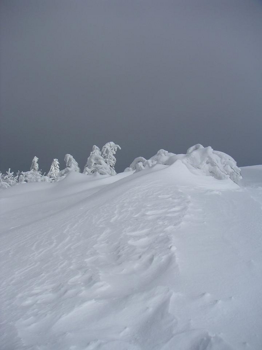 Crête Vosgienne :: Kastelberg
Photo prise en mars 2004 sur les crêtes à proximité du Kastelberg
Mots-clés: Kastelberg Vosges France