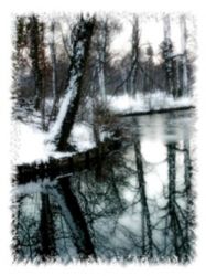 paysage neige web.jpg