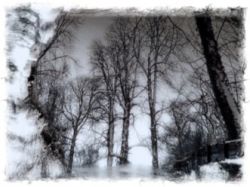 paysage neige2 web.jpg