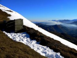 Brume et palombière.jpg
