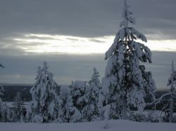 LAPLAND00128.JPG