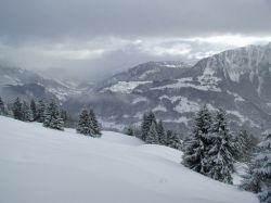 LEYSIN0749.JPG