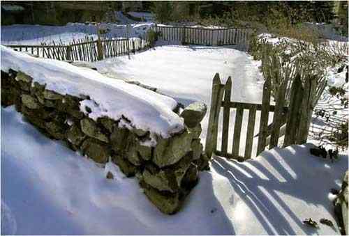Jardin l'hiver en Isère
Prise au D100 
Mots-clés: Isère