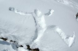 fantôme_de_neige.jpg