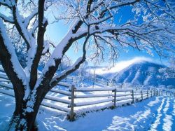 hiver.jpg