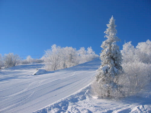 Matin lumineux, Mont-Comi Bas-Saint-Laurent Québec
Un matin lumineux au Mont-Comi,  le 31 décembre 2005.
Mots-clés: Mont-Comi Bas-Saint-Laurent Québec