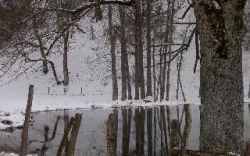 Copie_(2)_de_PICT2370.JPG