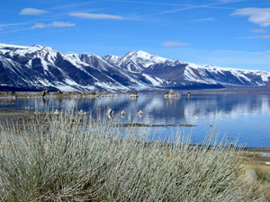 Mono Lake, Sierra Nevada
Photo prise avec un Sony Cybershot                      
Mots-clés: Mono-Lake Sierra-Nevada
