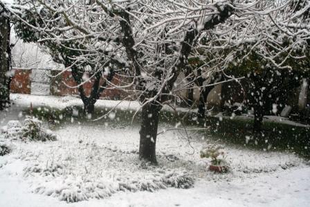 Cai a Neve
Mots-clés: neve