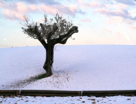 Sozinha na neve
Mots-clés: neve