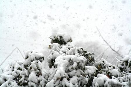 Nevão Portugal
Nevão em portugal na zona do Oeste
Mots-clés: Portugal