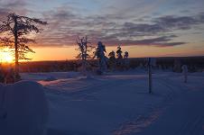 Coucher du soleil Saariselka en laponie finlandaise
mois de janvier 2006
Mots-clés: Saariselka Finlande
