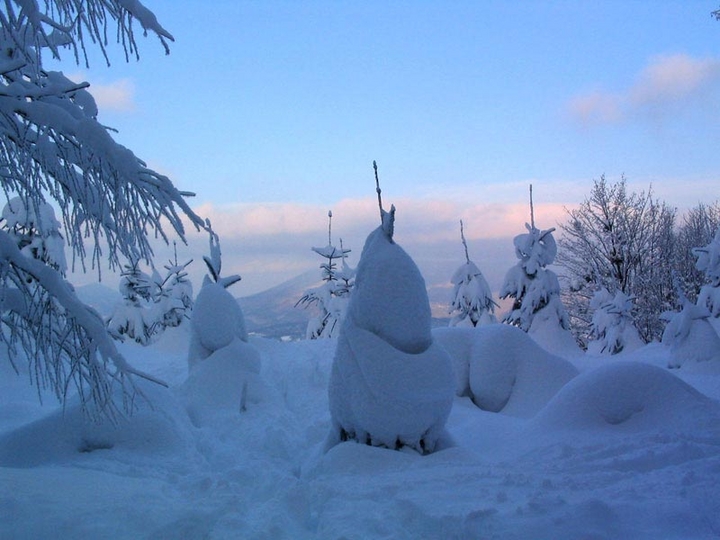 Cônes glacés en ski de fond, République Tchèque
Au détour d'une piste de ski de fond, nous voilà nez à nez avec une famille de sapins chaudement emmitouflés sous un manteau blanc...un mirage de cônes glacés...
Mots-clés: République Tchèque janvier 2006