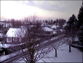 Saint Nicolas d'Aliermont :: arbres dénudés,  Seine Maritime
Il a neigé aujourd'hui, ce qui est fort rare dans cette région de Seine Maritime en France, les arbres sont dénudés et la lumière froide baigne l'atmosphère normande.
Mots-clés: Saint-Nicolas Aliermont