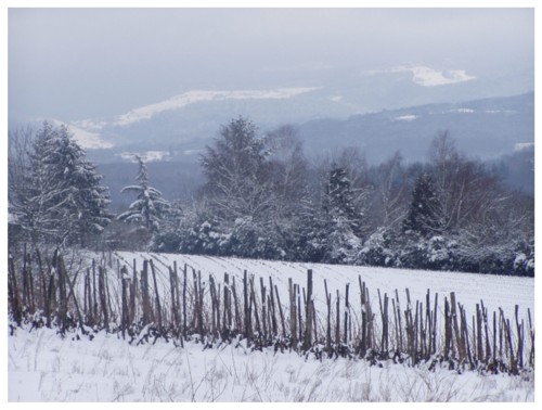 Horizons multiples
Mots-clés: montagne arbres neige