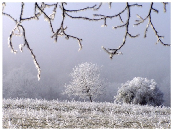 Terre et ciel hivernaux
