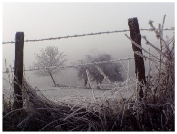 Amours retrouvées dans le givre
