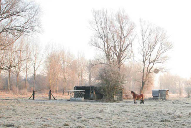 Un matin de Janvier :: brume sur les hortillonnages, Picardie
brume sur les hortillonnages
Mots-clés: Picardie