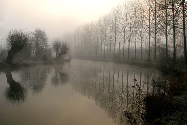 Le long de la Somme en plein hiver :: Picardie
Mots-clés: Picardie