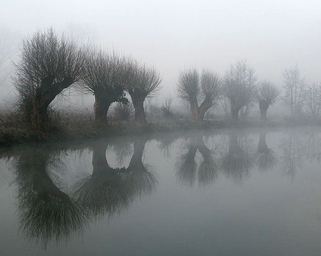 Bords de Somme, le long de la Somme en plein hiver :: Picardie
Mots-clés: Picardie