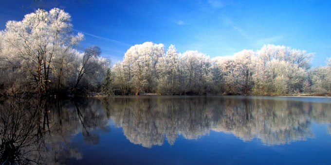 Arbres de glace en campagne picarde, Picardie
le givre s'est accroché aux branches
Mots-clés: Picardie